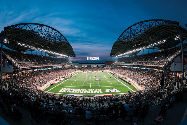 在目前的情 在目前的情