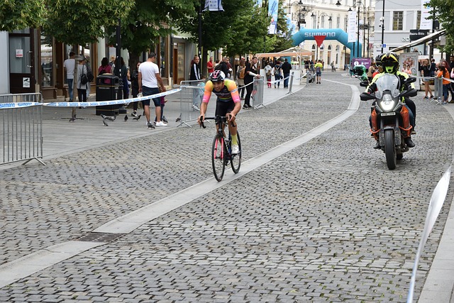 迫使雄鹿出 迫使雄鹿出