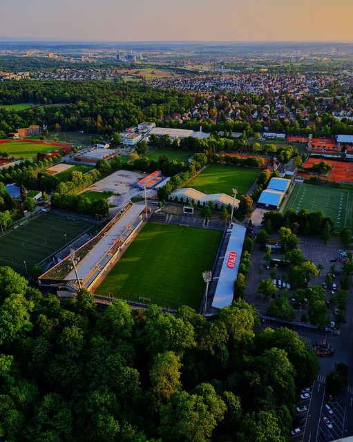 是其他球员 是其他球员