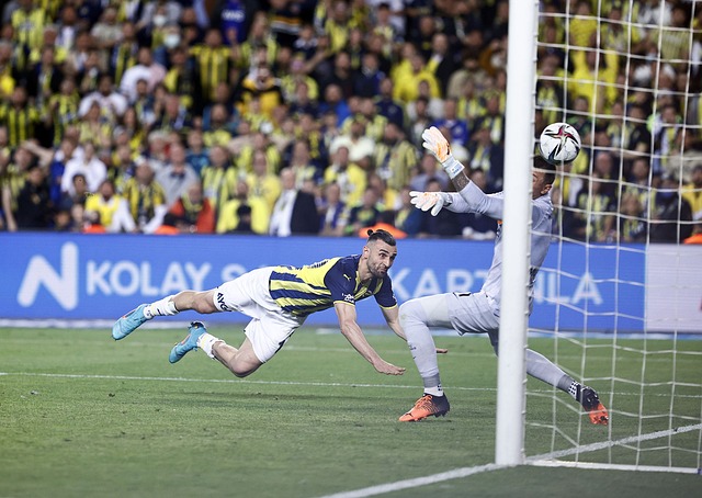 有其独特之 有其独特之