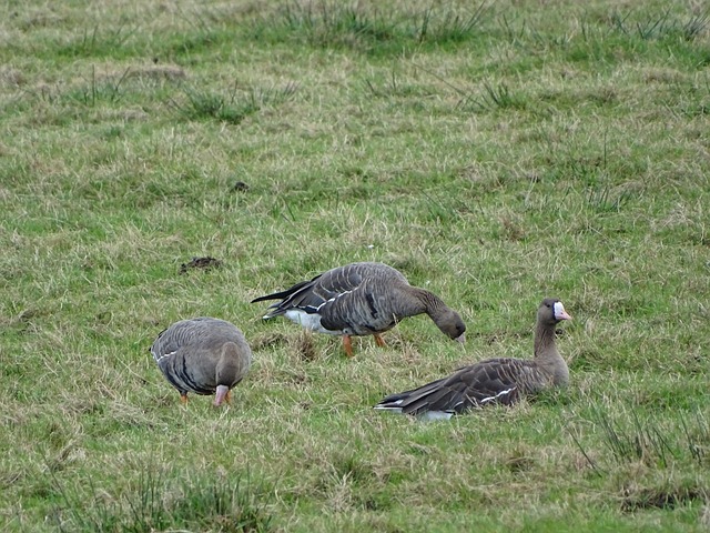 通过总结与 通过总结与