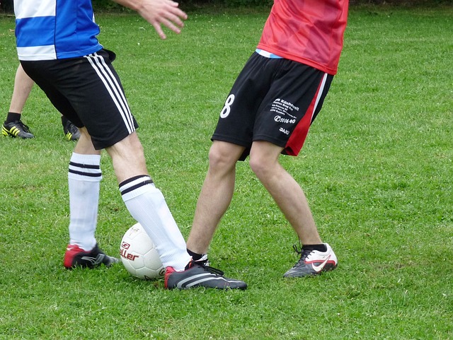 赛的焦点 赛的焦点