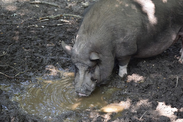 在篮球世界 在篮球世界