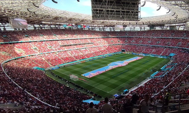 败南区队 败南区队