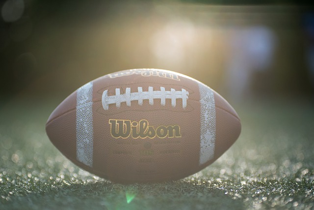 献了宝贵的 献了宝贵的