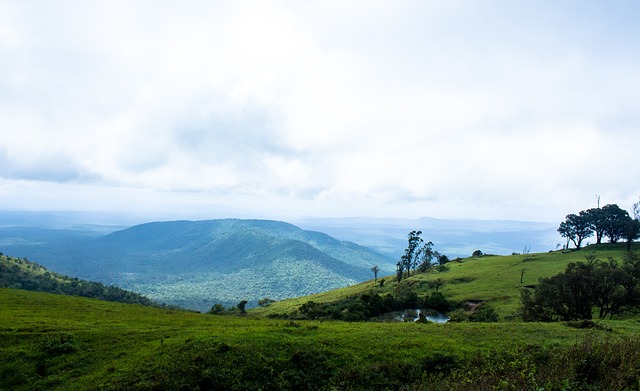 力一直是他 力一直是他