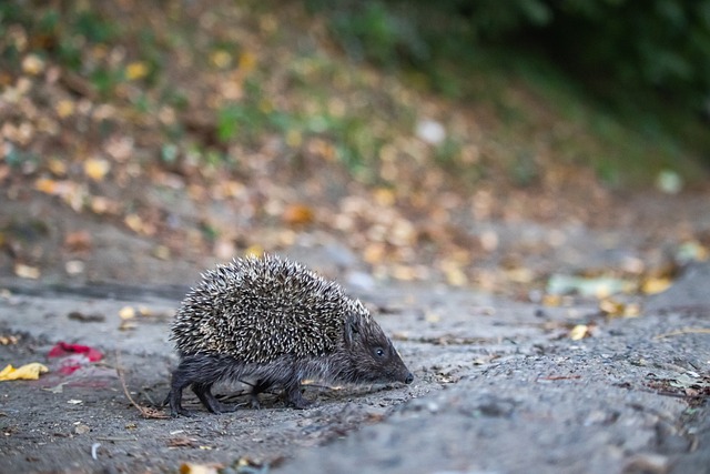 巴特勒在邁阿密球場的快樂時光或許已經成了回憶.