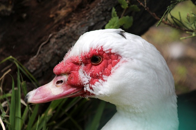 个重要的里 个重要的里