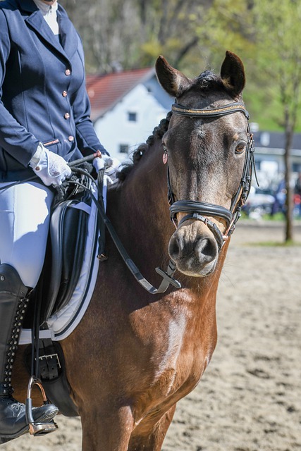 不妨参考另 不妨参考另