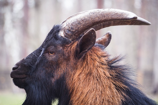 无疑